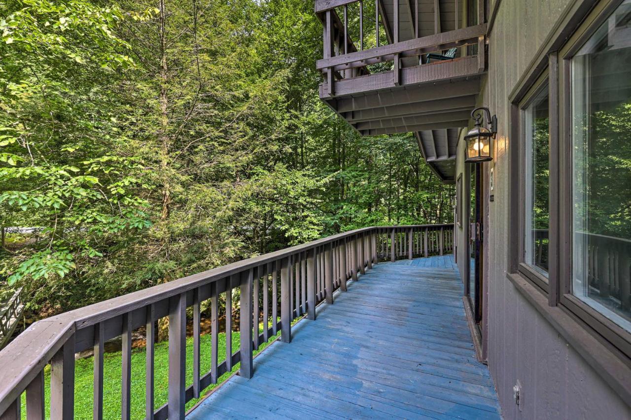 Roan Mountain Creekside Cabin Hike And Fish! Eksteriør billede