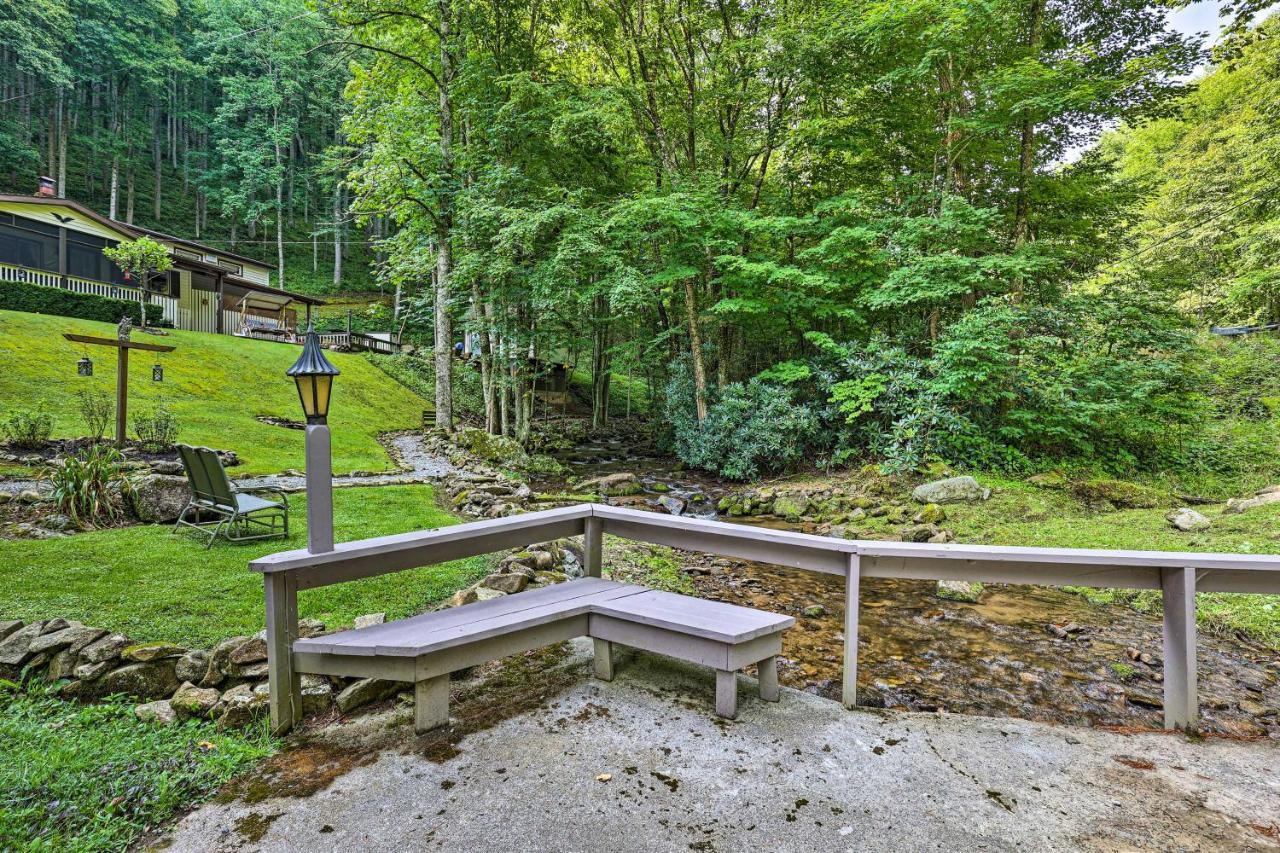 Roan Mountain Creekside Cabin Hike And Fish! Eksteriør billede