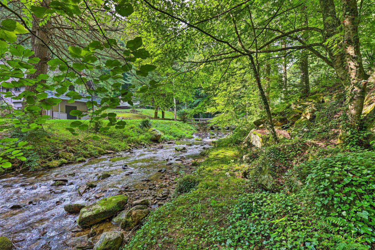 Roan Mountain Creekside Cabin Hike And Fish! Eksteriør billede