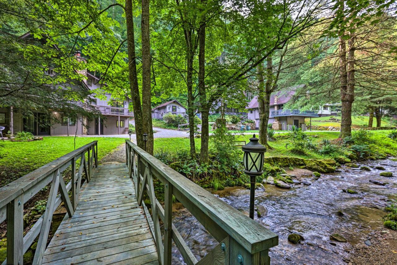 Roan Mountain Creekside Cabin Hike And Fish! Eksteriør billede